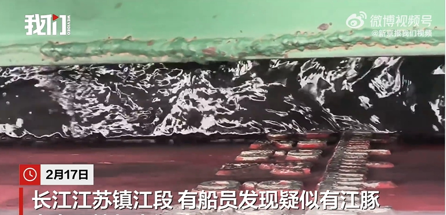 江豚死亡事件背后的生態(tài)警示